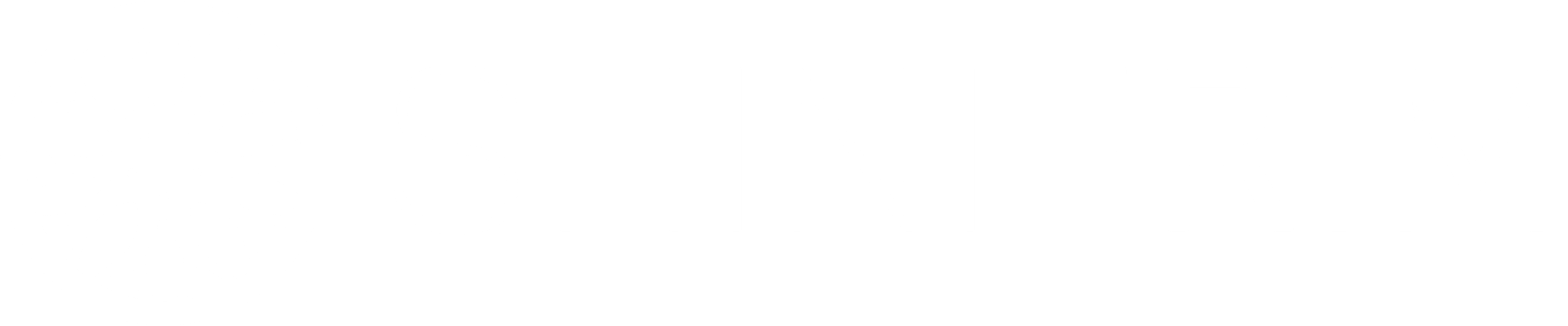 ShinieRim